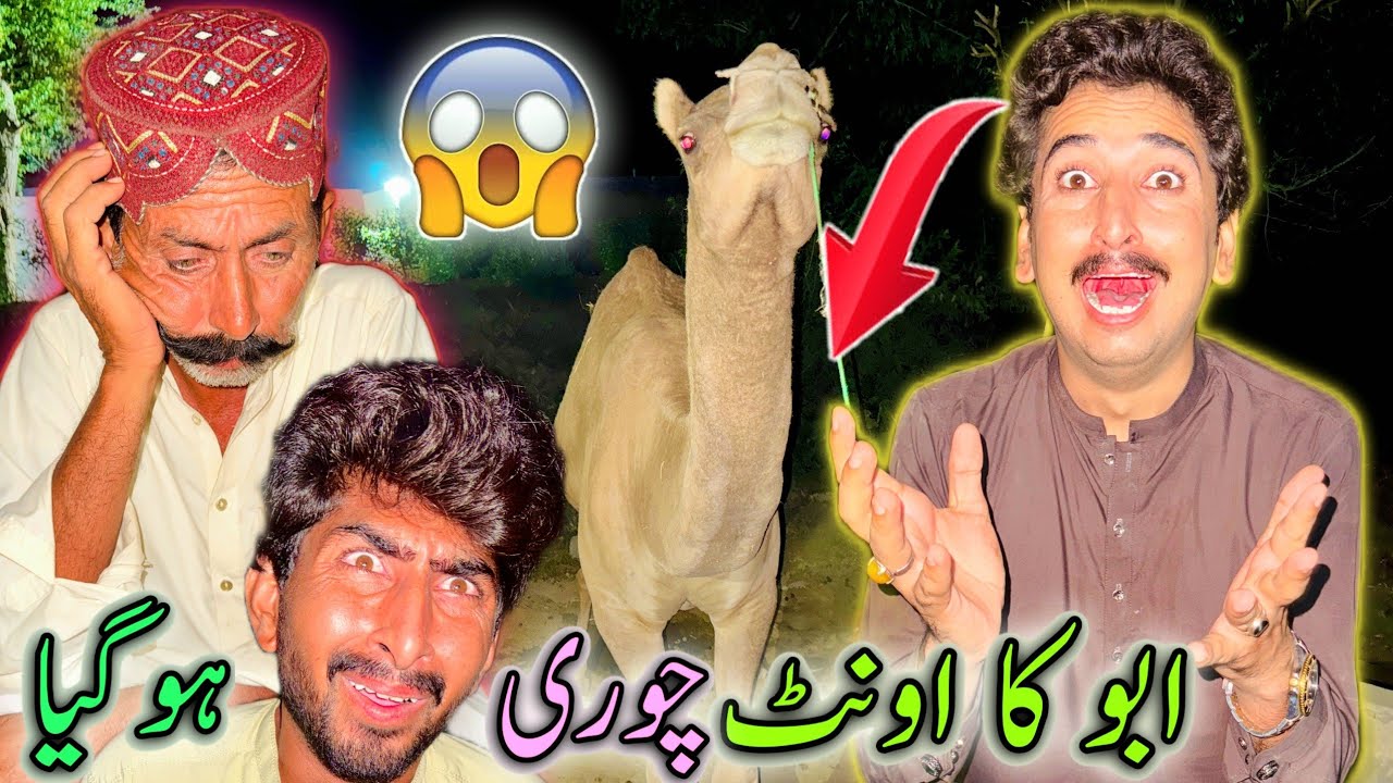 Abu Ka Onth Chori Ho Giya 😱😡 🐫