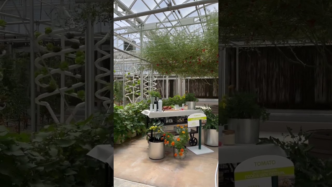 Living with the Land at EPCOT Land Pavilion Greenhouse Tour
