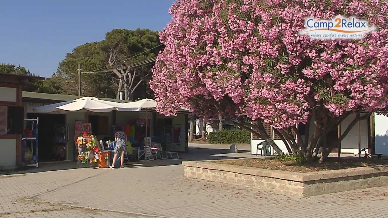 Camping Europing ****