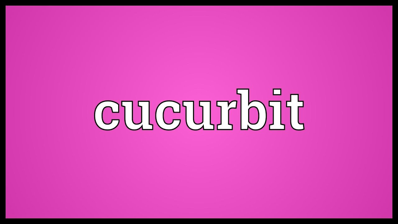 Cucurbit Meaning