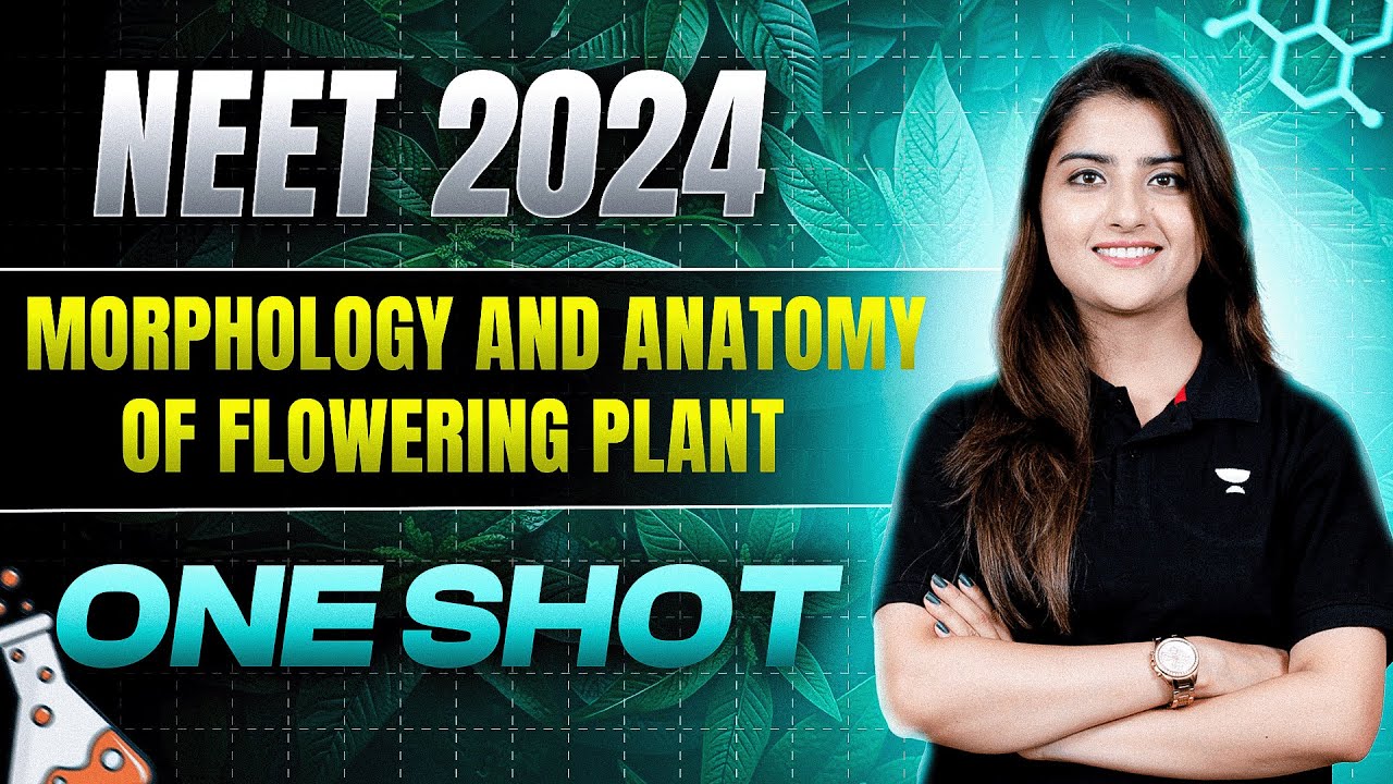 Morphology and Anatomy of Flowering Plants | One Shot | NEET 2024 | Seep Pahuja