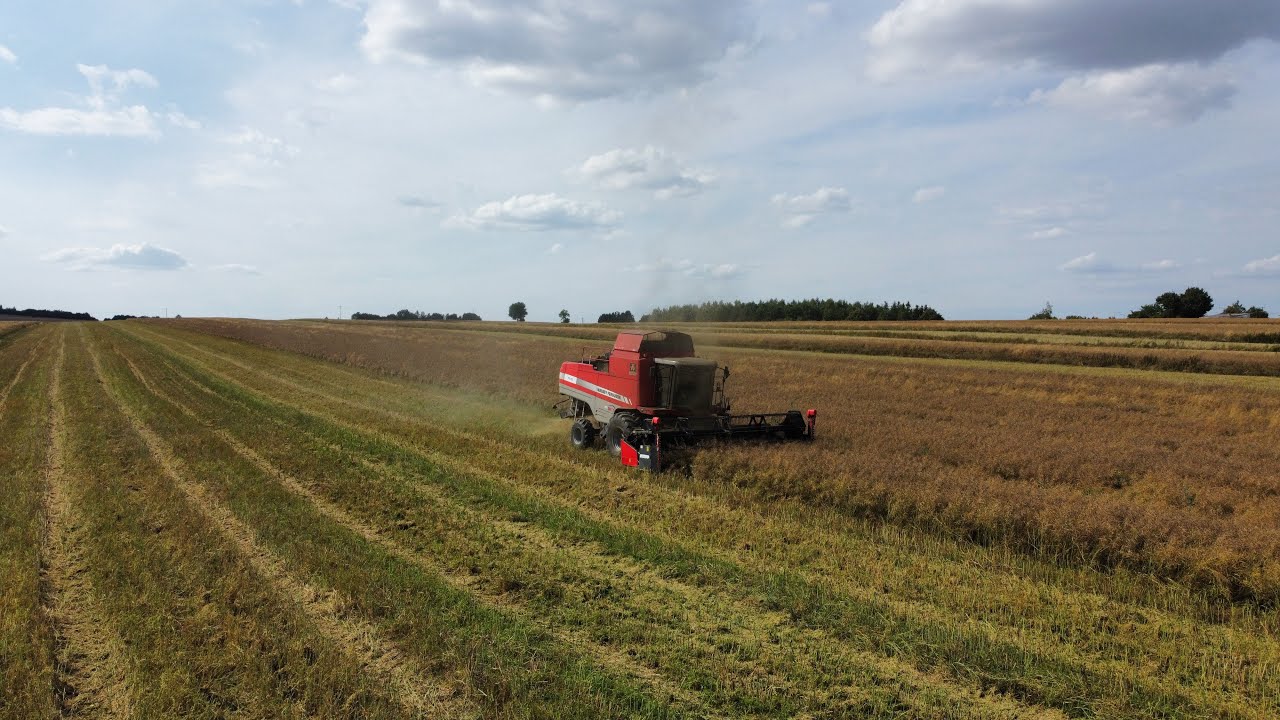 Rzepak 2022/Massey Ferguson 7270/lubelskie