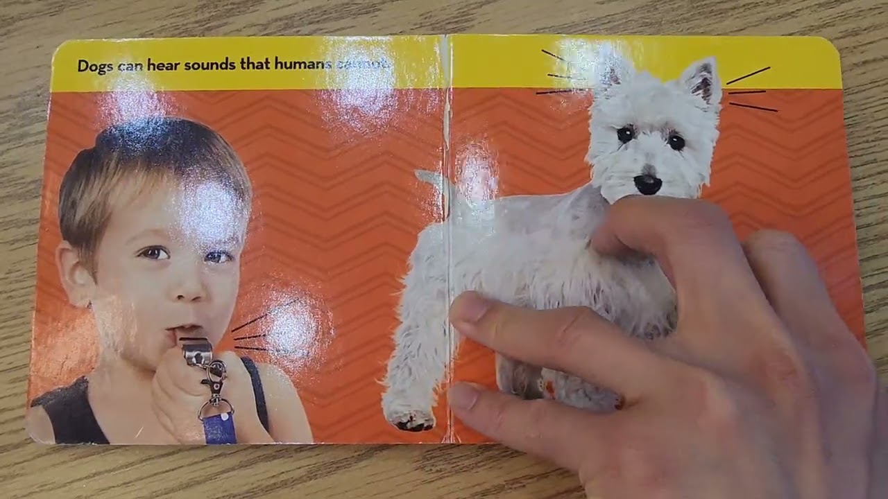 Собаки - National Geographic Kids