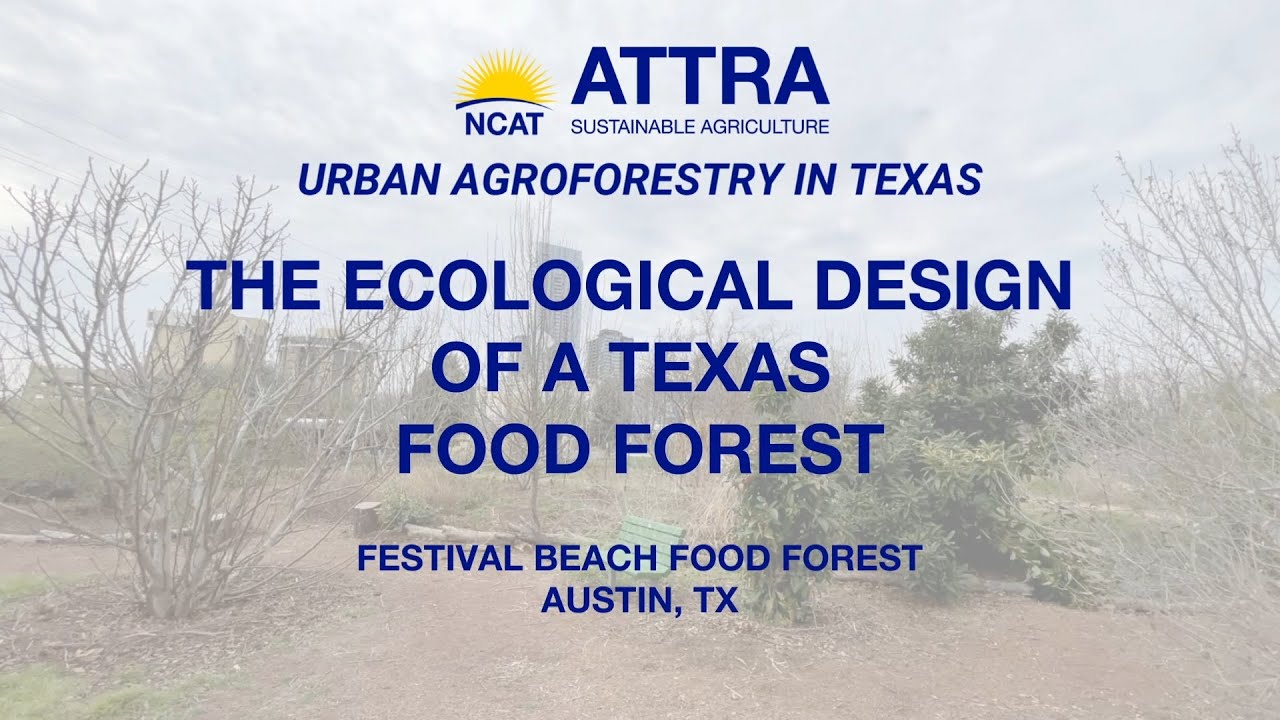 The Ecological Design of a Texas Food Forest