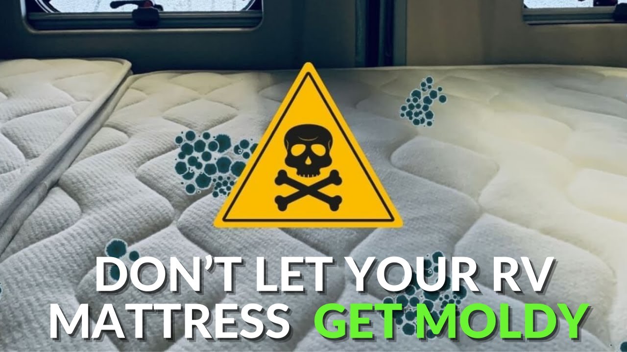 DO you have MOLD hiding under your RV Mattress and bed???