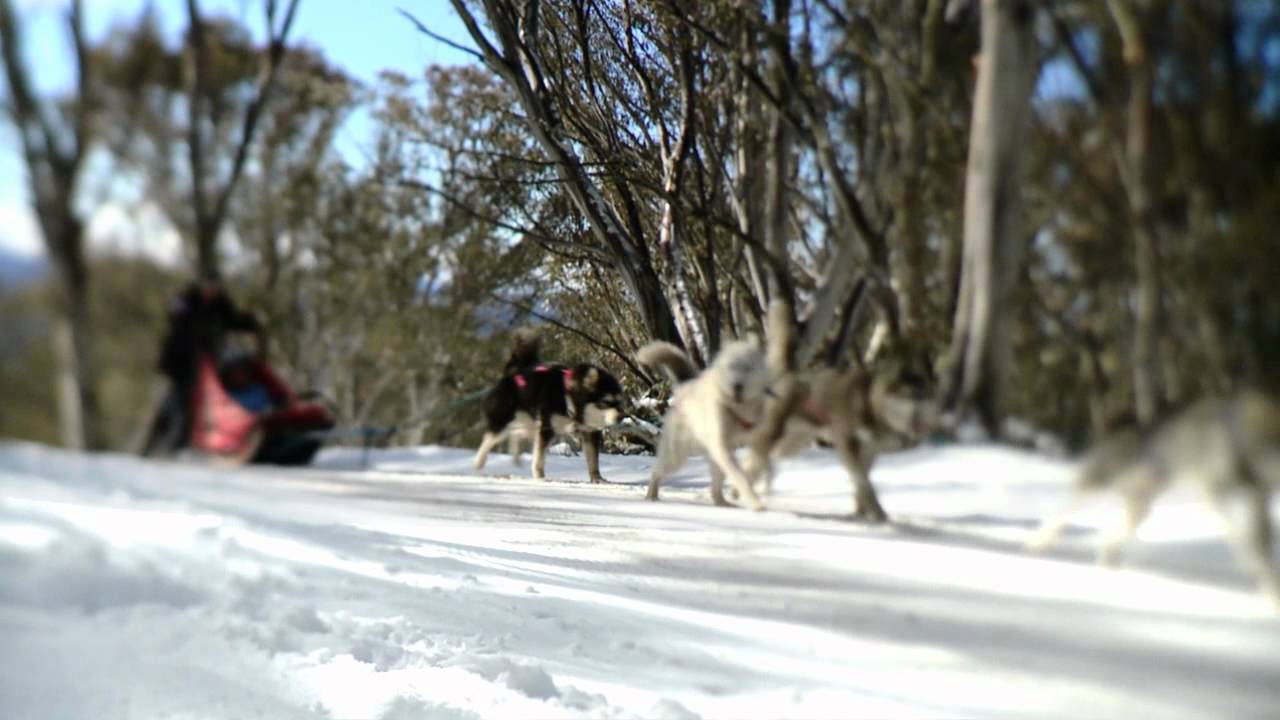 Snow Australia - Discover our Winter