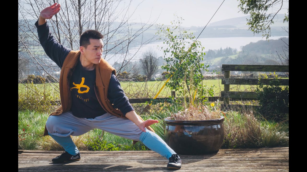 20 Minutes - Shaolin Qi Gong & Kung Fu to Boost Your Immune System 🌿💥