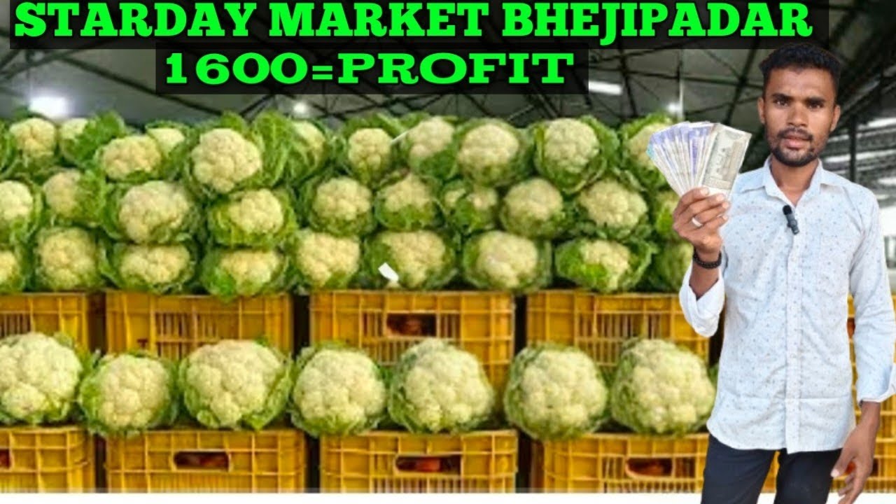 आज में खरीदा _1600₹ की सब्जियां और सेल करके मुझे कितना कमाई होगा!!🤑?