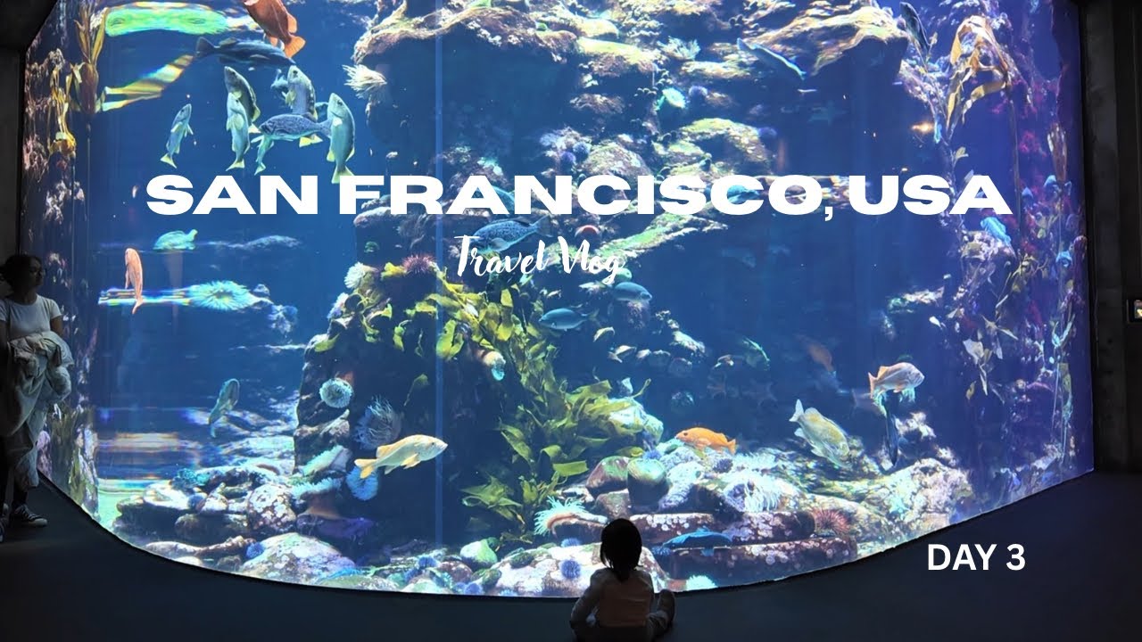 San Francisco, USA l DAY 3 - California Academy of Science