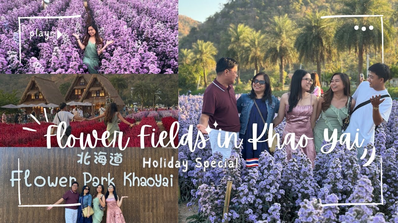 Slice of Life: Nature Trip at Hokkaido Flower Farm, Khao Yai, Thailand ⛰️🌸