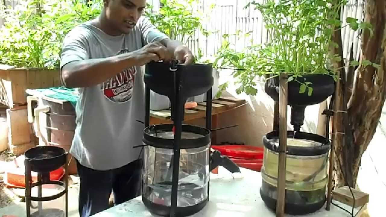 Miniponics   DIY Aquaponics for under 10$