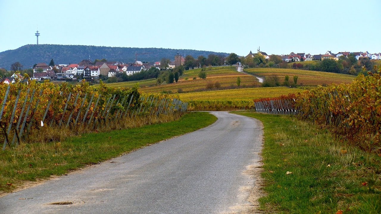 Pfalz Impressionen  -  Herxheim am Berg