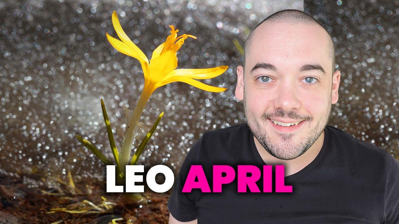 Leo Quadrupling Your Success By Doing This! April 2023