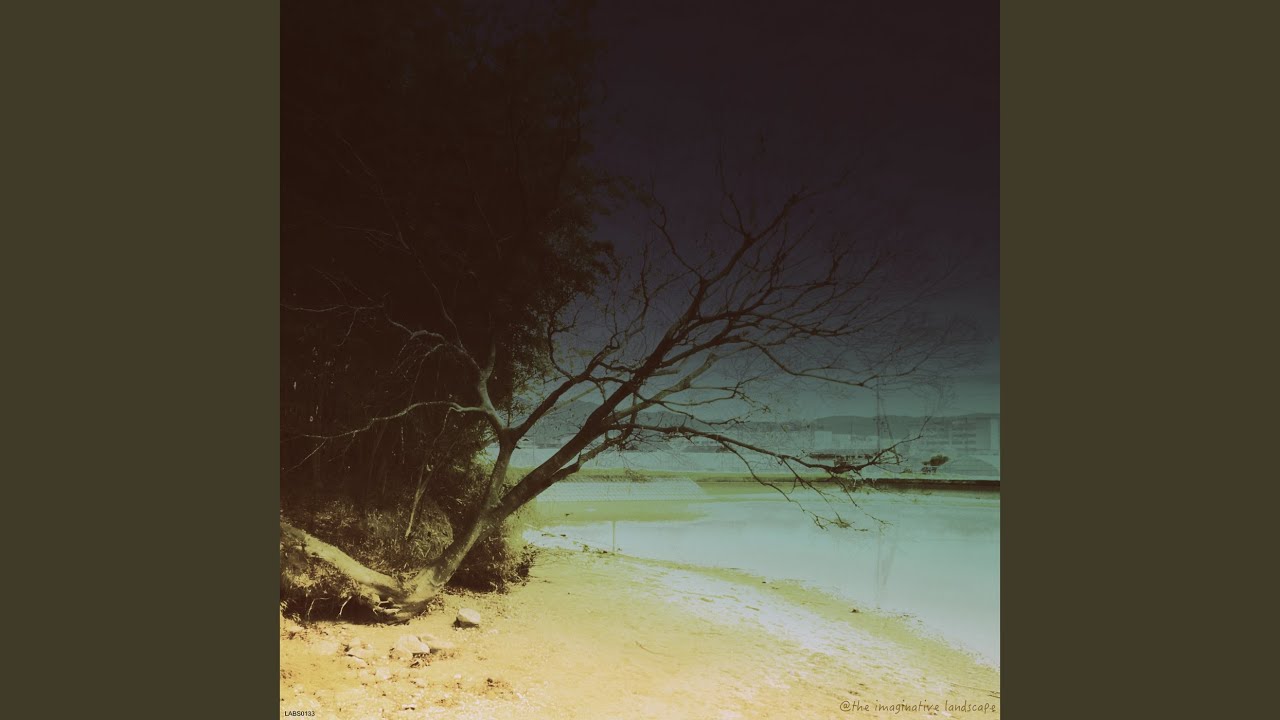 Lost Words