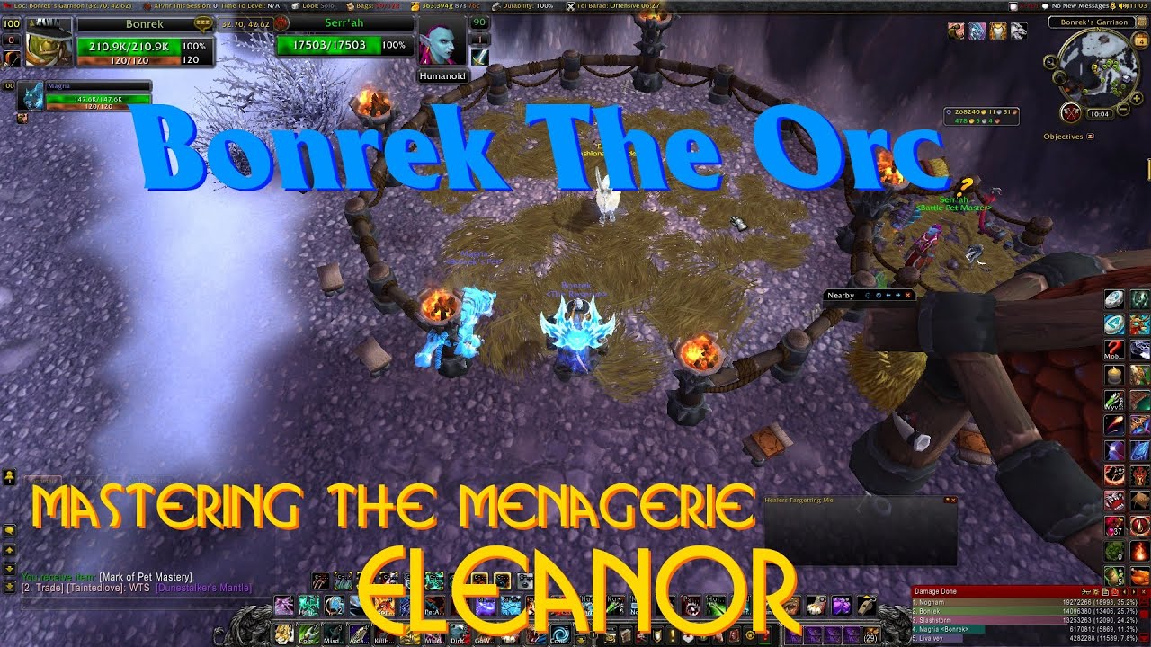 WoW: Mastering the Menagerie - Eleanor