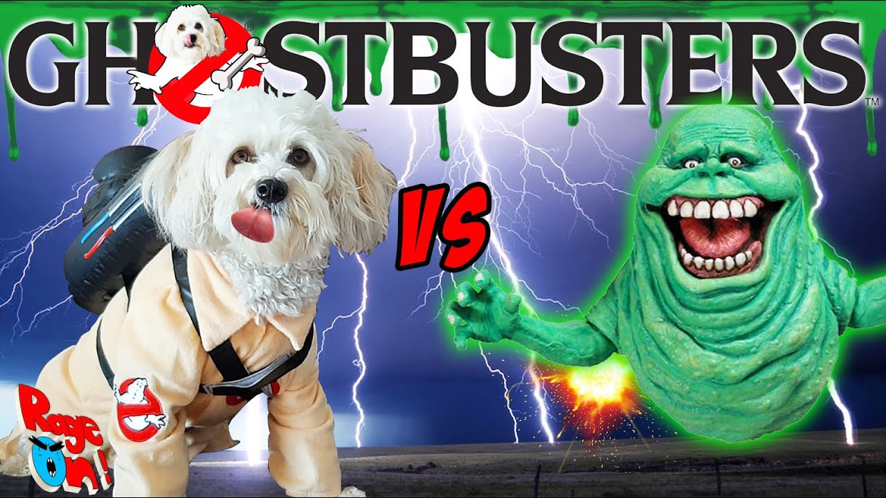 Funny dog vs Slimer Ghostbusters Doggy edition