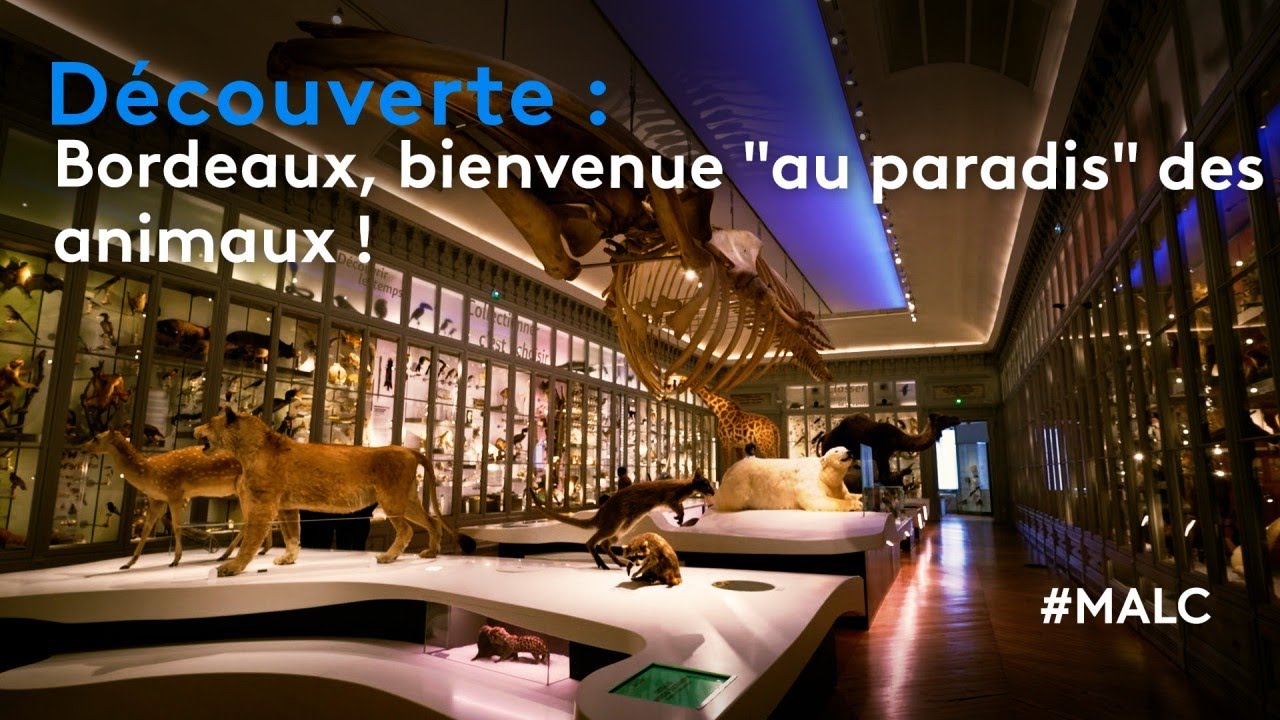 Découverte : Bordeaux, bienvenue au 