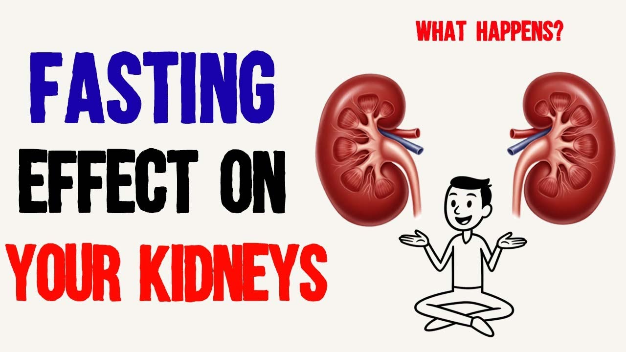 What Happens to Your Kidneys When You Do Intermittent Fasting? (Fasting Benefits)