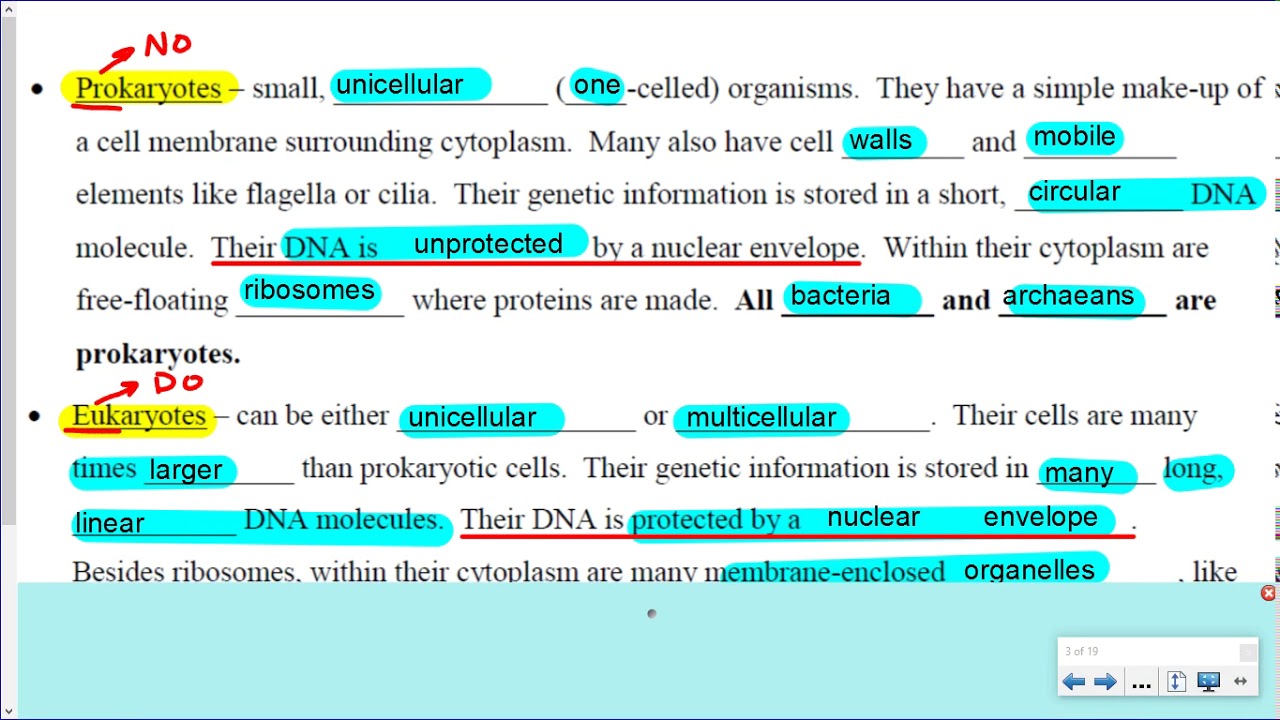 Bio 1 - Cell Diversity: Introduction