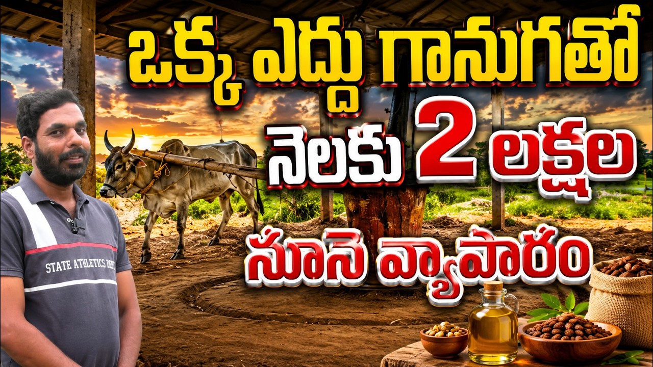 ఎద్దు గానుగ తో నెలకు 2లక్షల బిజినెస్  | ganuga oil | bhumiputhra telugu