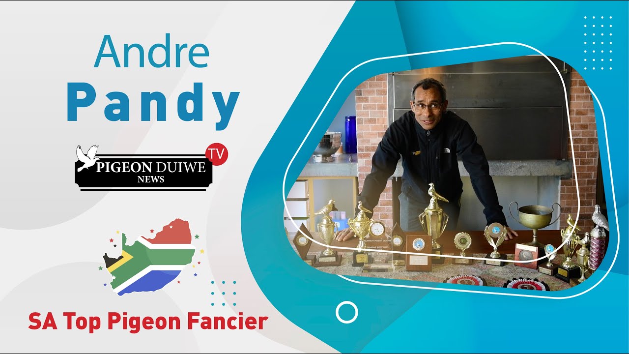 Pigeon Duiwe News TV- Andre Pandy - SA Top Pigeon Fancier. S1: E15