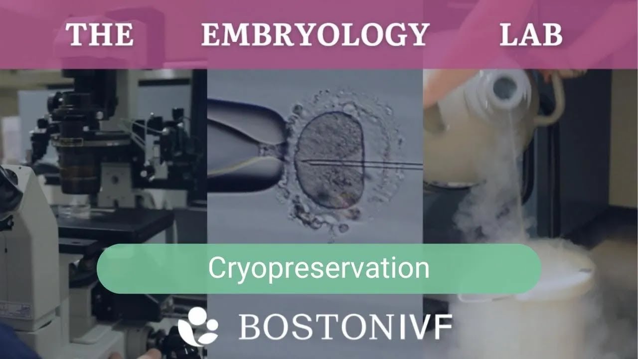Cryopreservation | Boston IVF Embryology Lab