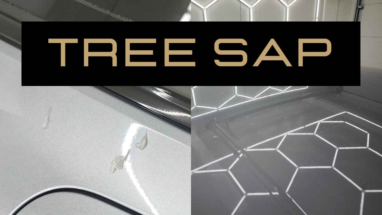 POV: Removing Tree Sap From Car Paint | Satisfying Car Detailing