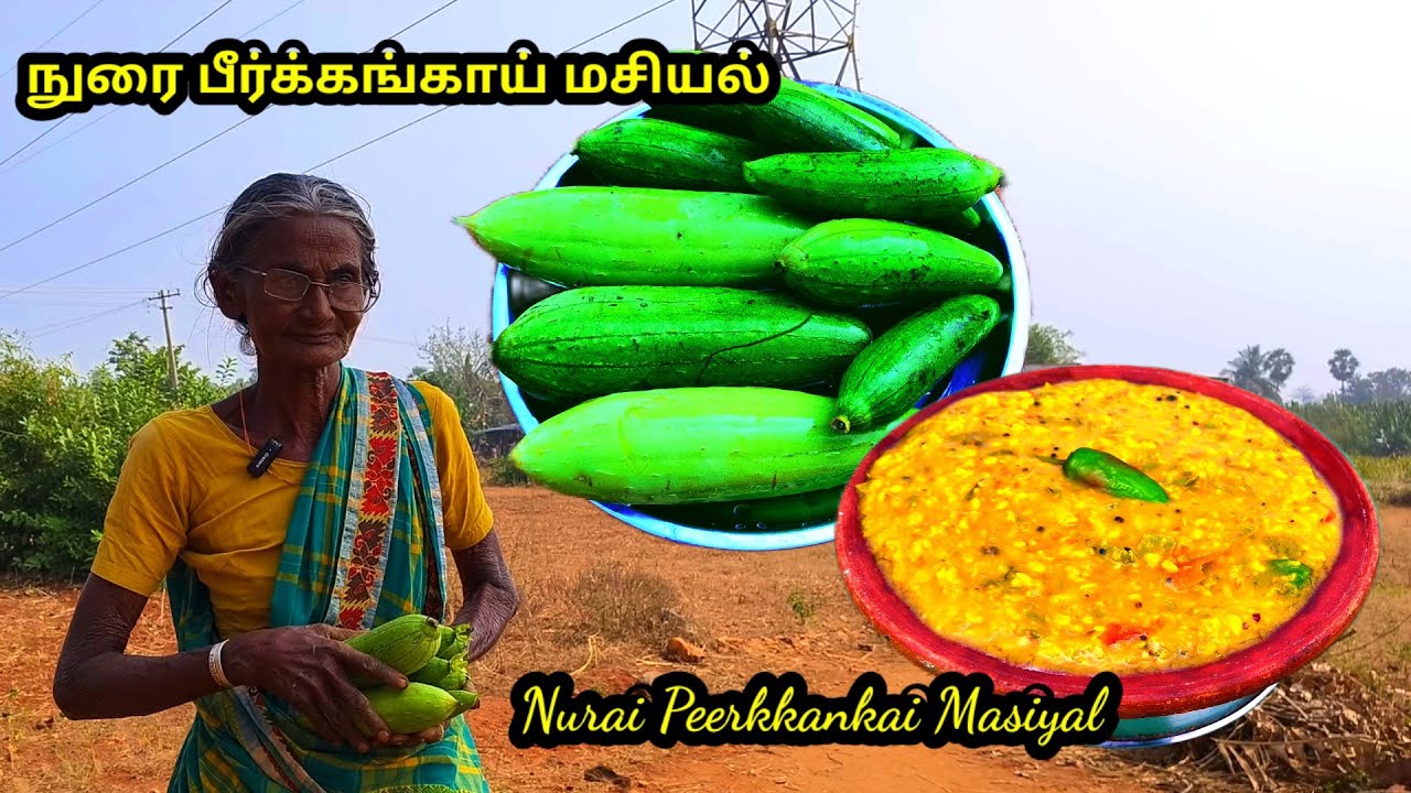 இதுவும் பீர்க்கங்காய் தான் #நுரை பீர்க்கங்காய் மசியல் l #மெழுகு பீர்க்கங்காய் l #Sponge gourd