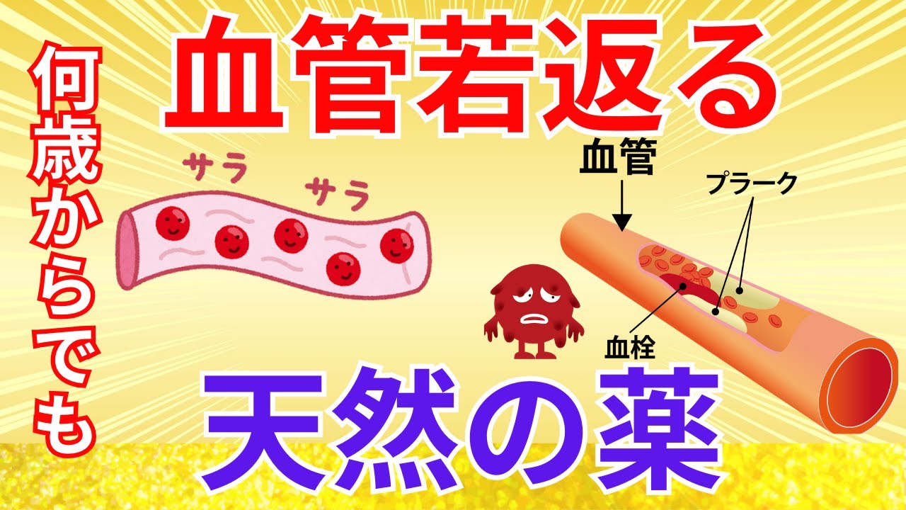 毎日歩いているのに血圧が下がらない、健康に気を使っているのに不調が続く…何歳からでも血管を若返らせる