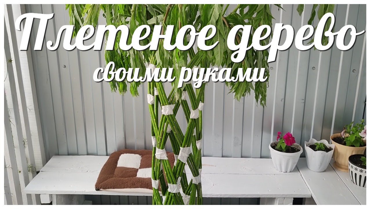 ПЛЕТЕНАЯ ива СВОИМИ  РУКАМИ легко и быстро / Создай свой шедевр на участке