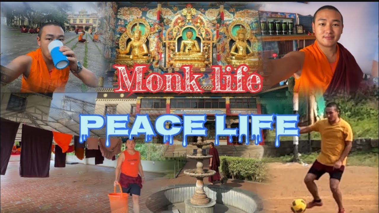 Mera Saturday ka vlog✨🥰