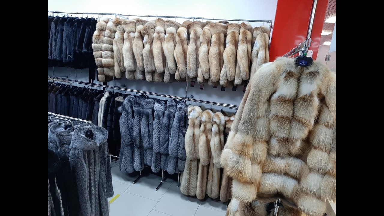 Папа норка мама бобера