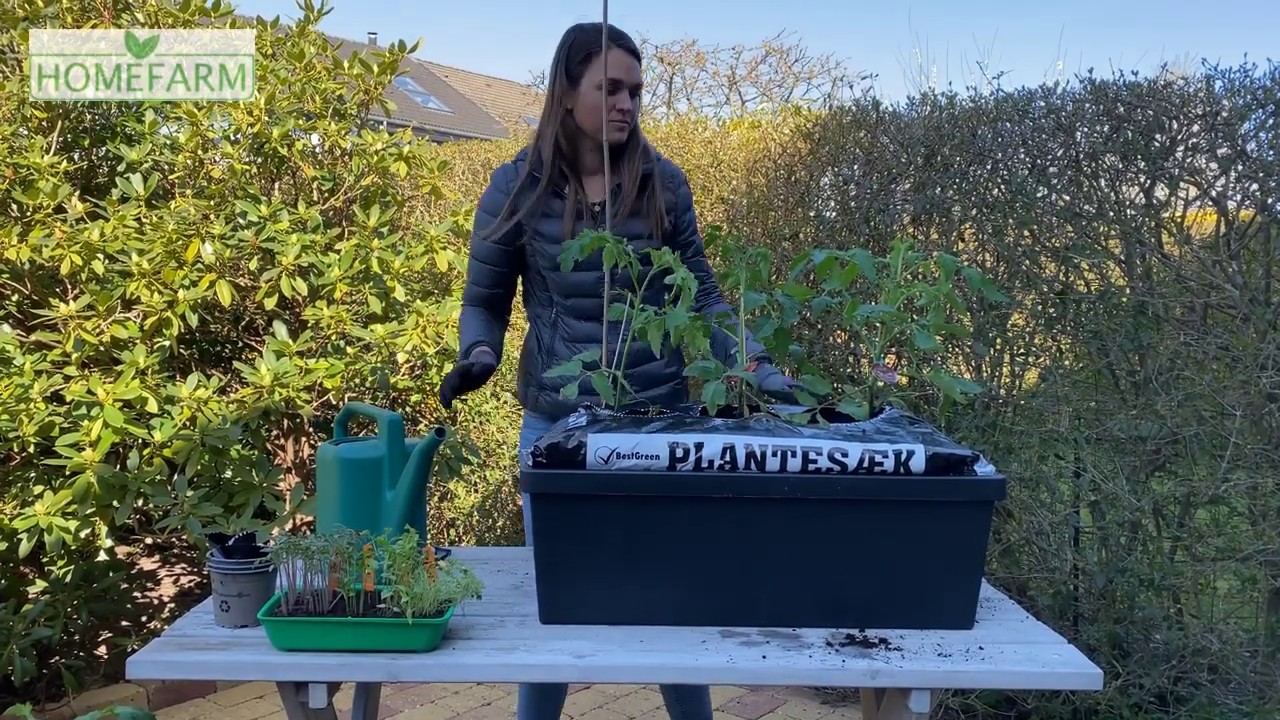 S&aring;dan planter man i en Homefarm kapill&aelig;rkasse