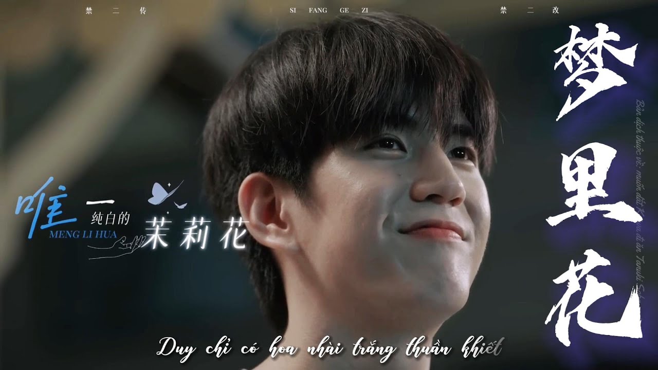 【Vietsub|MhokDay】Hoa trong mộng || Last Twilight