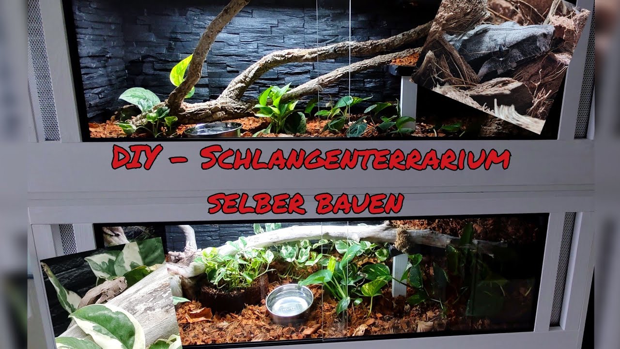 DIY - Schlangenterrarium selber bauen