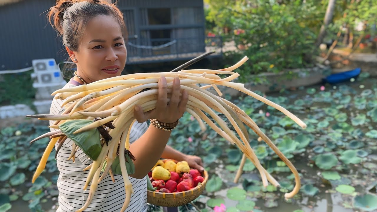 THU HOẠCH ĐIỀU SIÊU TRÁI VỀ CHO CÁ ĂN