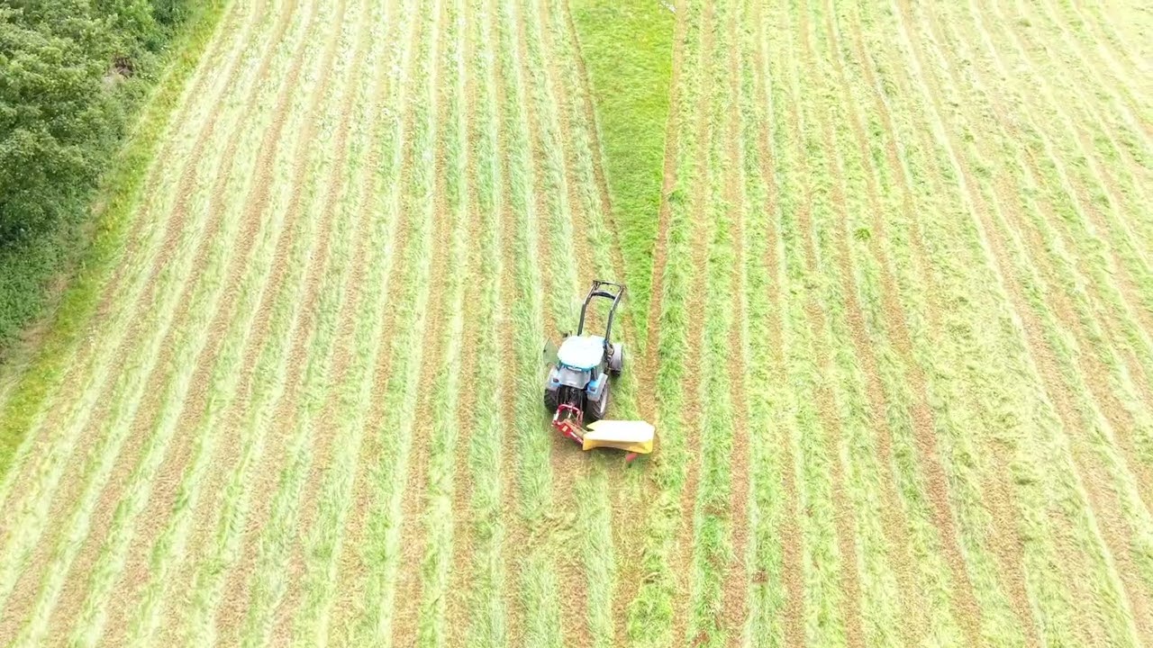 Landini cutting grass  (full video)