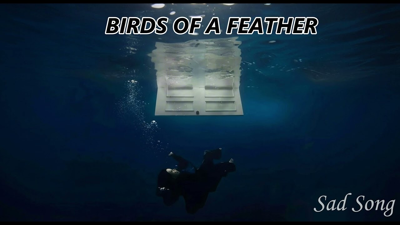 BIRDS OF A FEATHER | English sad song