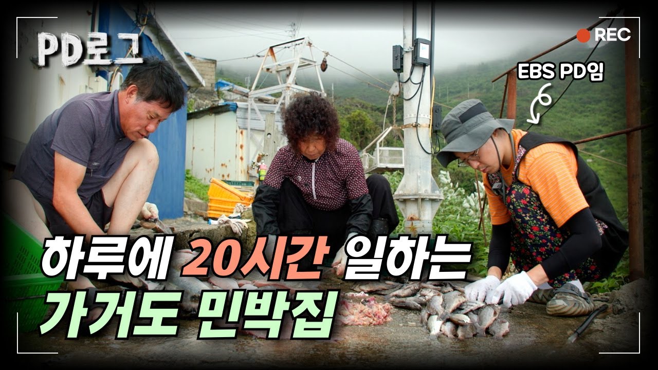 가거도 민박집 알바생이 된 PD, 하루에 20시간 일함 / PD로그 ＜어서 오세요, 섬마을 민박＞ 2/2