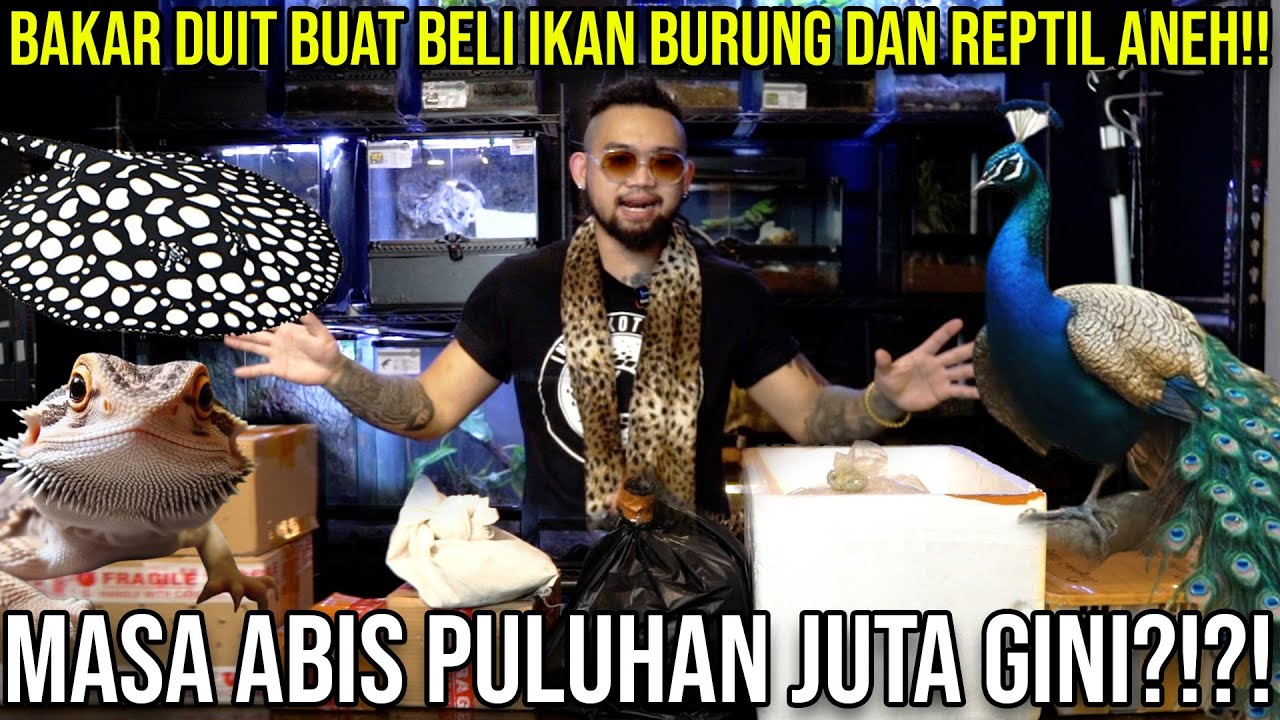 BAKAR DUIT BELI IKAN BURUNG DAN REPTIL ANEH!! MASA ABIS PULUHAN JUTA GINI?!?! #indoexotic