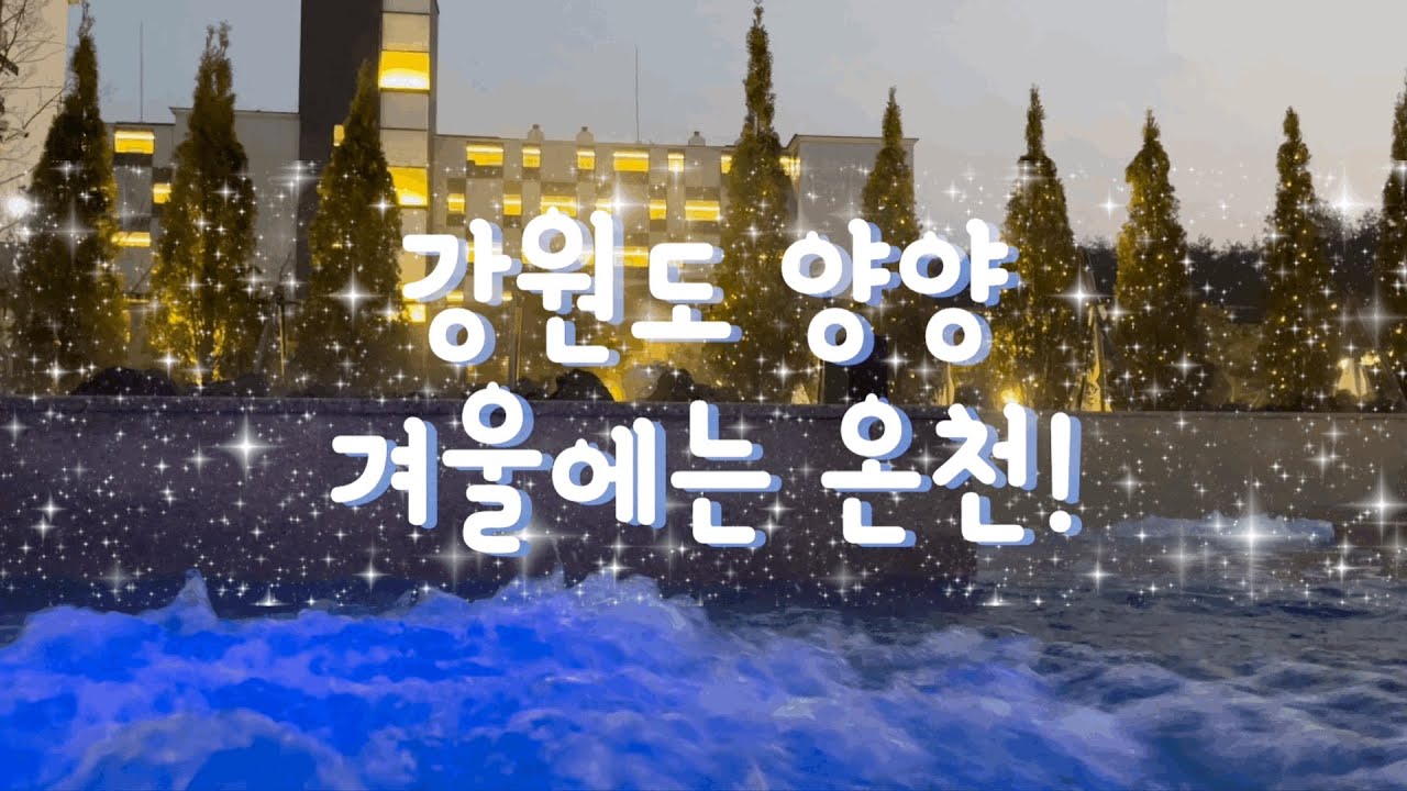 강원도 양양 | ♨️온천리조트 추천 | 더앤리조트 2박 3일 | 킹크랩 맛집 | 갤러리밥스 초당옥수수커피 | 아르떼뮤지엄 강릉 |