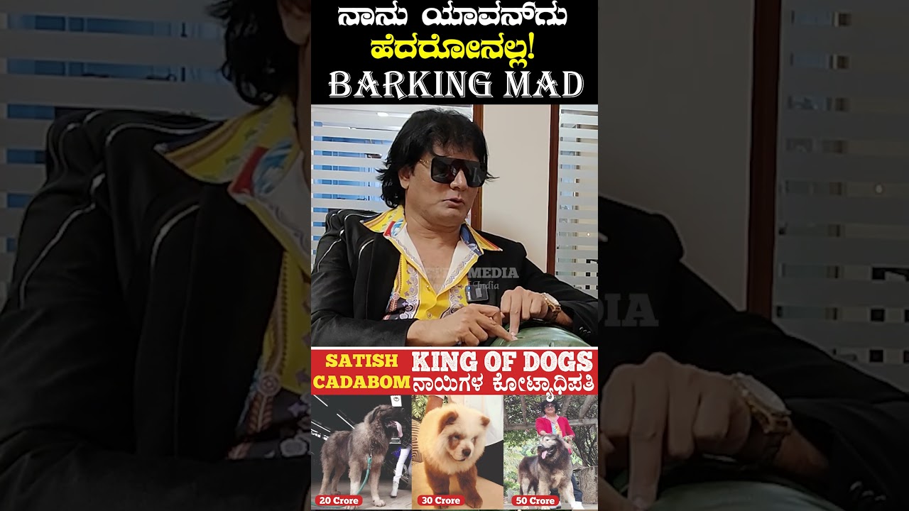100 Crores Worth Donkey Size DOG Launch by Barking Mad Satish Cadabom, King of Dogs..
