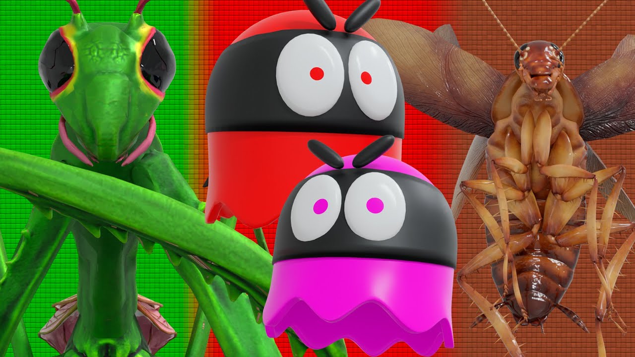 PACMAN ADVENTURES COMPILATION #10 | Giant Insects have invaded Pacman City!