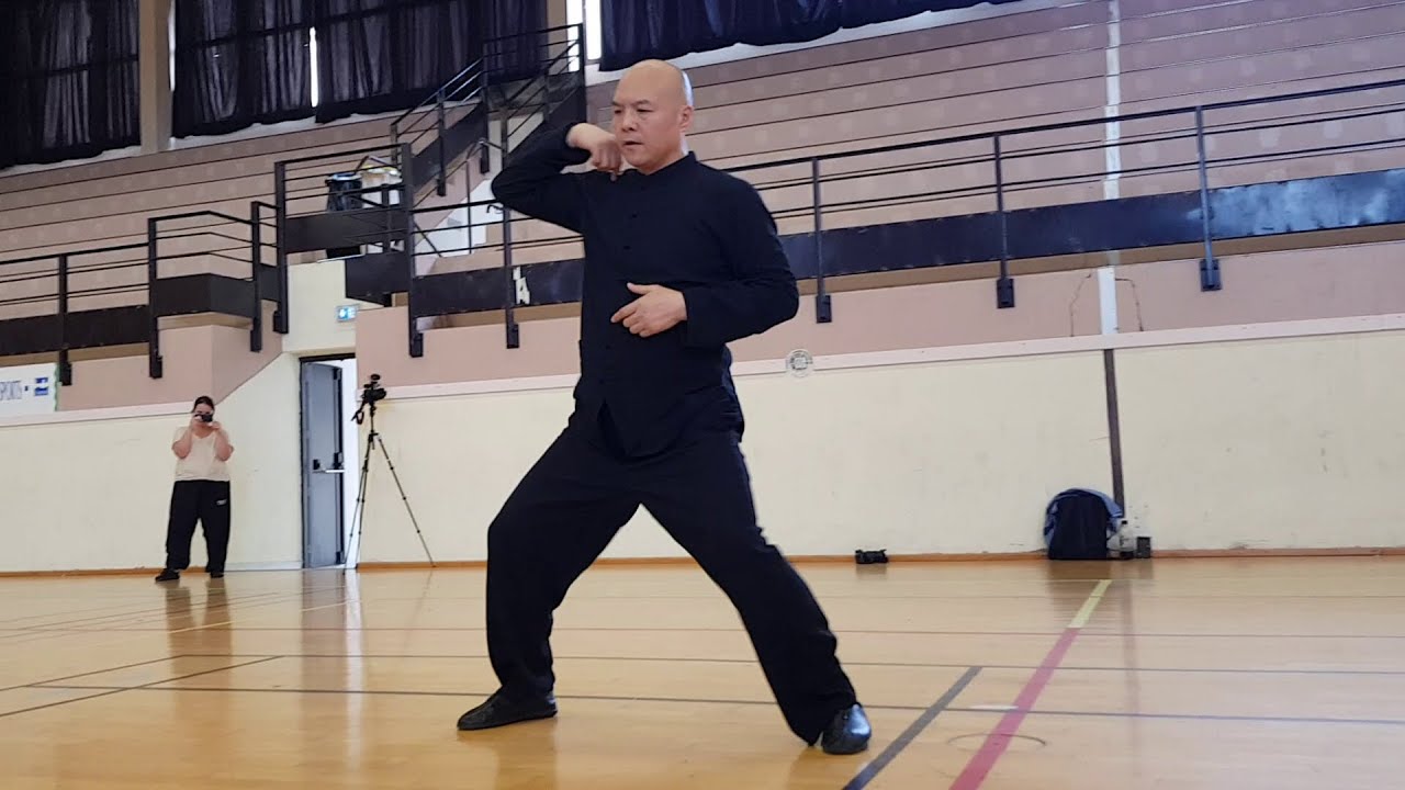 FaJin - Chen Taiji quan - Maître WANG Zhanjun - Cahors 2025