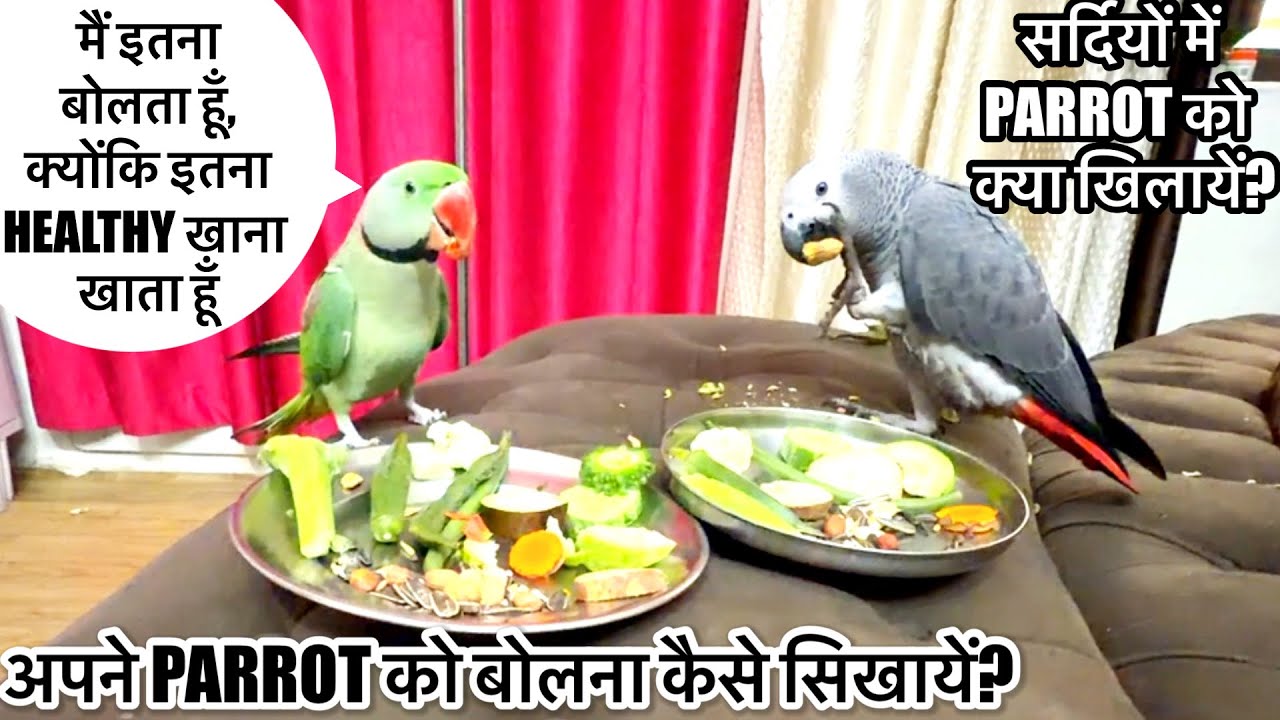 मैं