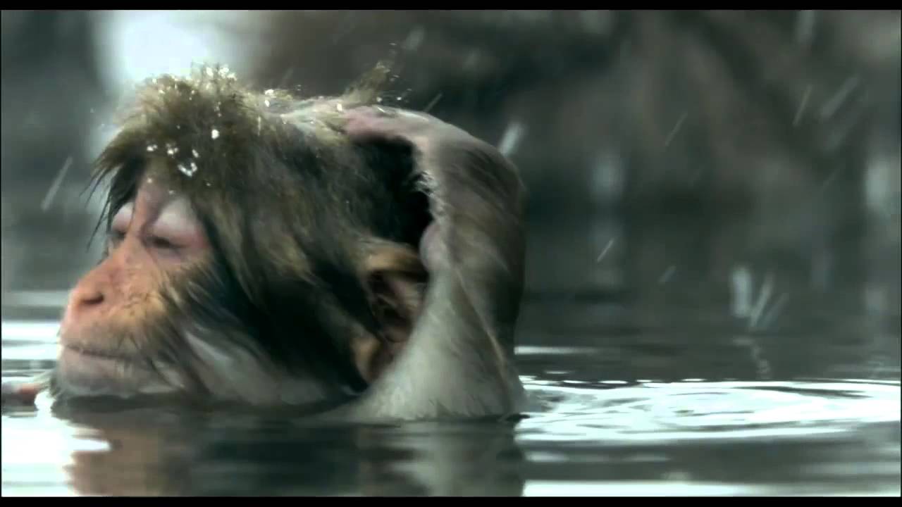It's My Life - Talk Talk (Mark Hollis) + No Doubt (Gwen Stefani)