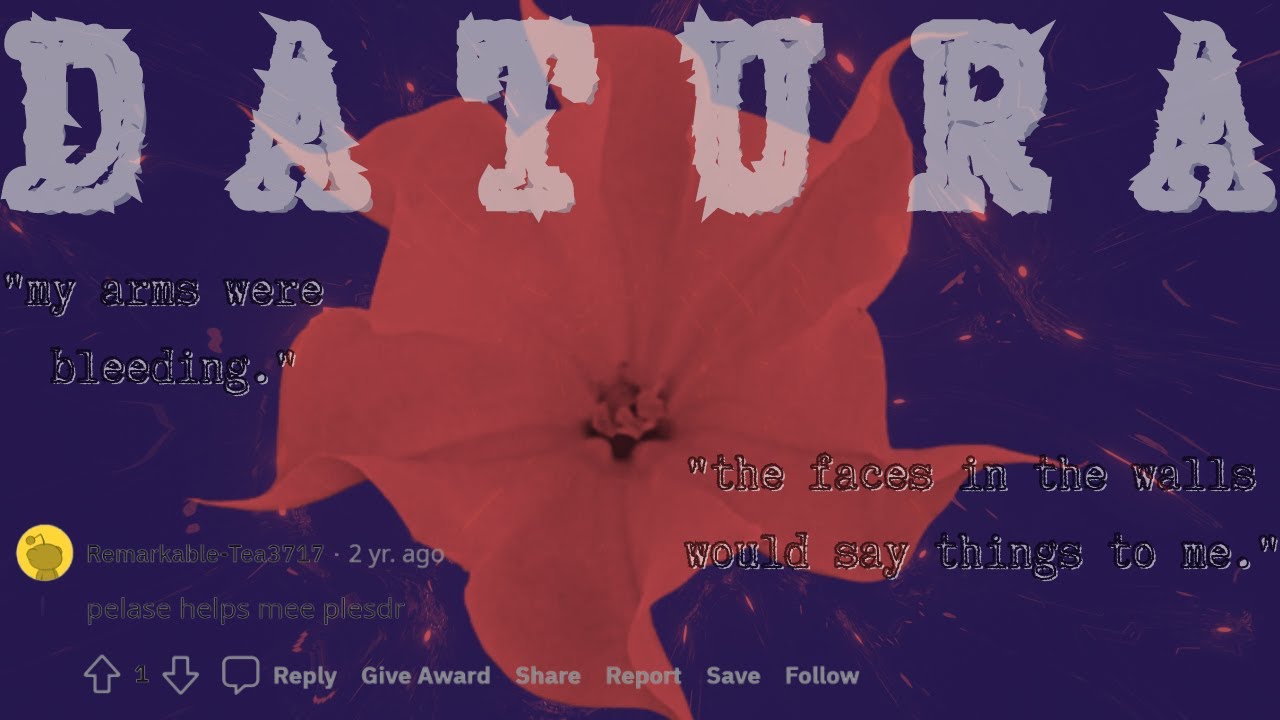 What Happens When You Take the Scariest Drug in the World