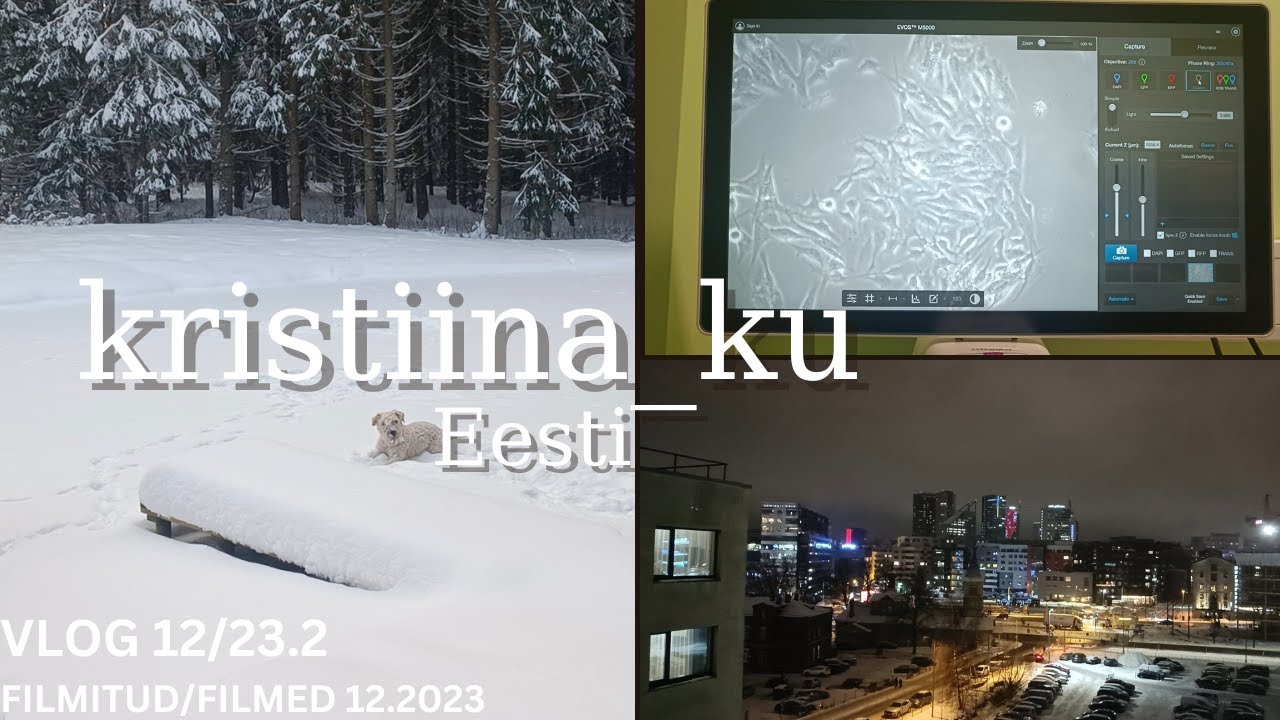 Ja ongi 2023.aasta lõpp EST / ENG And the year 2023 is ending VLOG 12/23.2