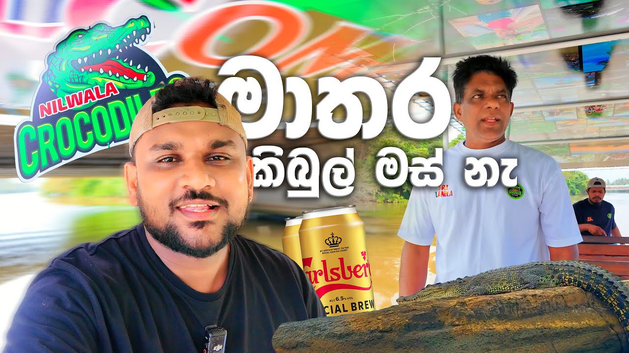 බියර් එක්ක කිබුල් මස් බැලුවා  | Nilwala Crocodile 🐊🍺🤝😍🇱🇰