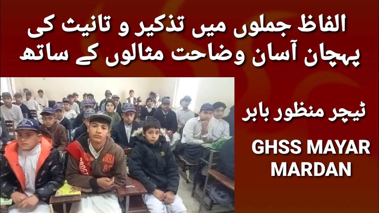 الفاظ جملوں کی تذکیر و تانیث کی پہچان آسان وضاحت GHSS MAYAR MARDAN 